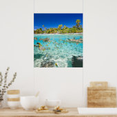 Exotische vakanties poster (Keuken)