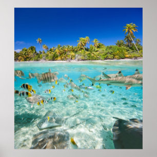 Exotische vakanties poster
