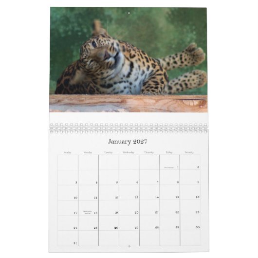 EXOTISCHE VELINEBROEDINGSAMENSTELLING KALENDER (Jan 2027)