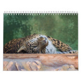 EXOTISCHE VELINEBROEDINGSAMENSTELLING KALENDER (Hoes)