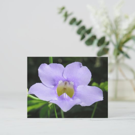 Exotische ventilator briefkaart (Staand voorkant)