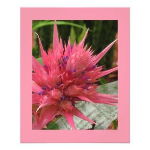 Exotische ventilatordruk foto afdruk