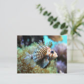 Exotische vis briefkaart (Staand voorkant)