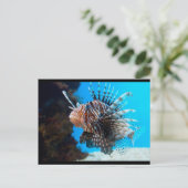 exotische vis briefkaart (Staand voorkant)