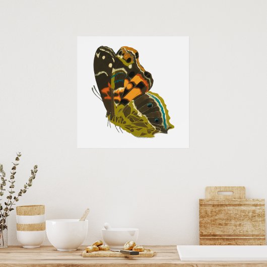  exotische vlinder 5 poster (Keuken)