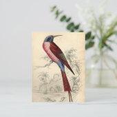 exotische vogel briefkaart (Staand voorkant)