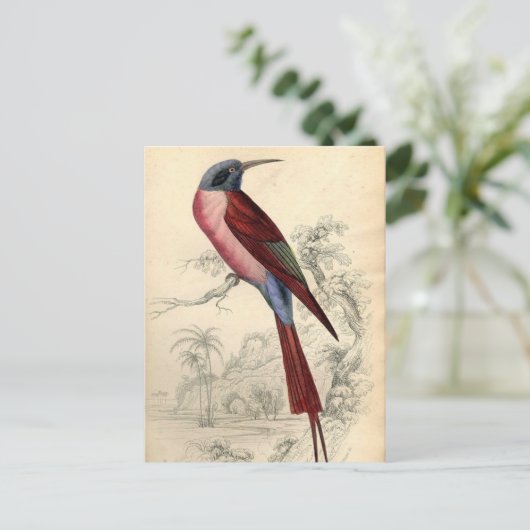  exotische vogel briefkaart (Staand voorkant)