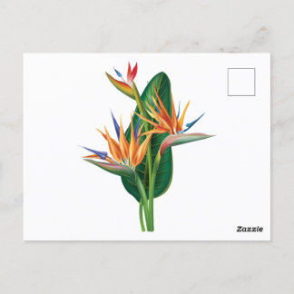 exotische vogel van de paradijsbloem briefkaart