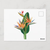 exotische vogel van de paradijsbloem briefkaart (Achterkant)