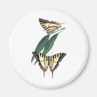 Exotische Vogelkoelkast Magneet