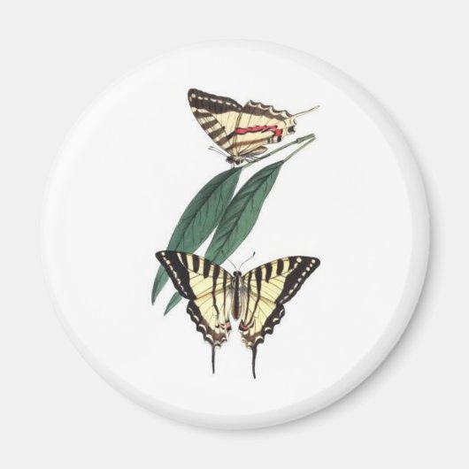 Exotische Vogelkoelkast Magneet (Voorkant)