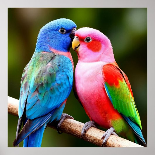Exotische Vogels ✨Bij elkaar neergestreken Gesche Poster (Voorkant)