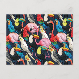 Exotische vogels briefkaart