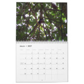 Exotische vogels in Oost- en Zuid-Afrika Kalender (Mar 2027)