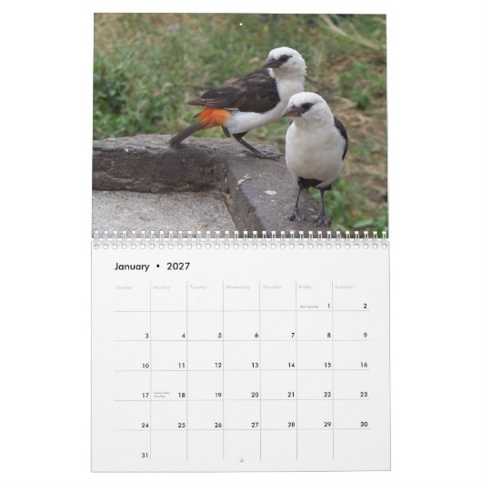 Exotische vogels in Oost- en Zuid-Afrika Kalender (Jan 2027)