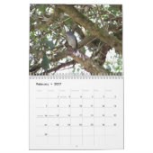 Exotische vogels in Oost- en Zuid-Afrika Kalender (Feb 2027)