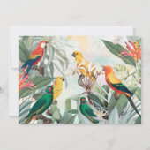 Exotische vogels kaart (Achterkant)