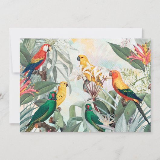 Exotische vogels kaart (Achterkant)