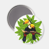 Exotische vogels magneet (Voorkant / Achterkant)