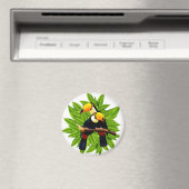 Exotische vogels magneet (Insitu (Vaatwasser))