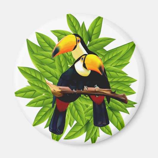 Exotische vogels magneet (Voorkant)