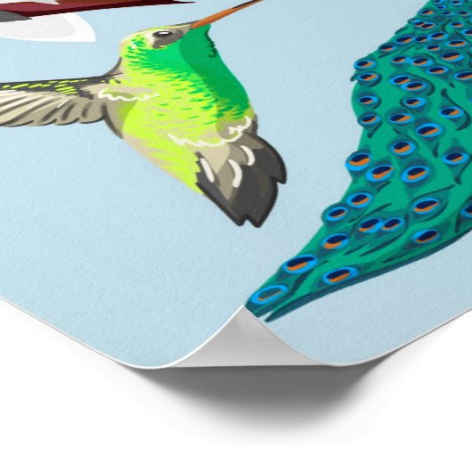 Exotische vogels poster (Hoek)