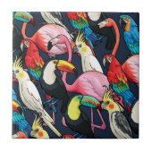 Exotische vogels tegeltje (Voorkant)