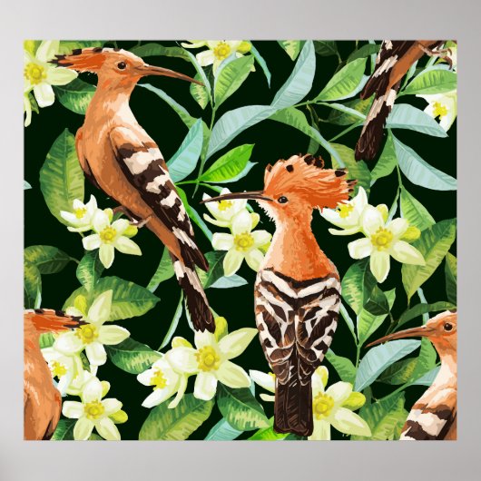 Exotische vogels: tropische print (Voorkant)
