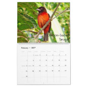 Exotische vogels van de kalender van Zuid-Amerika (Feb 2027)