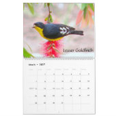 Exotische vogels van de kalender van Zuid-Amerika (Mar 2027)