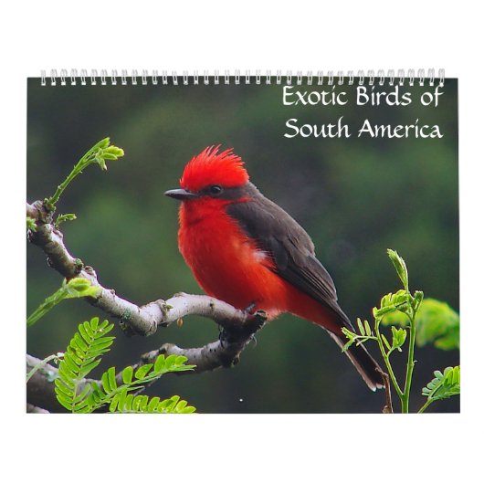 Exotische vogels van de kalender van Zuid-Amerika (Hoes)