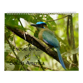 Exotische vogels van de Zuid-Amerikaanse kalender 