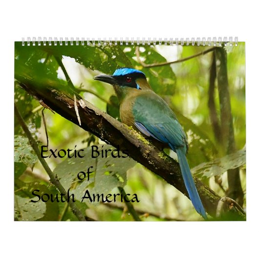 Exotische vogels van de Zuid-Amerikaanse kalender (Hoes)