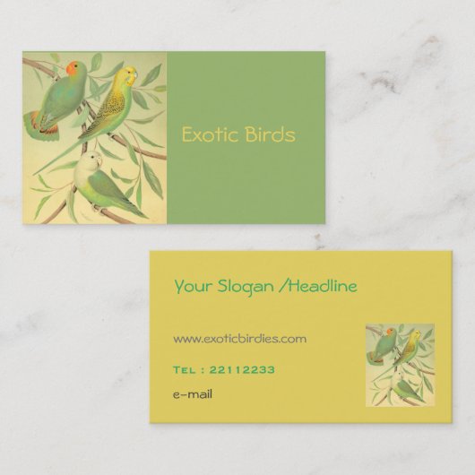 exotische vogels visitekaartje (Voorkant / Achterkant)