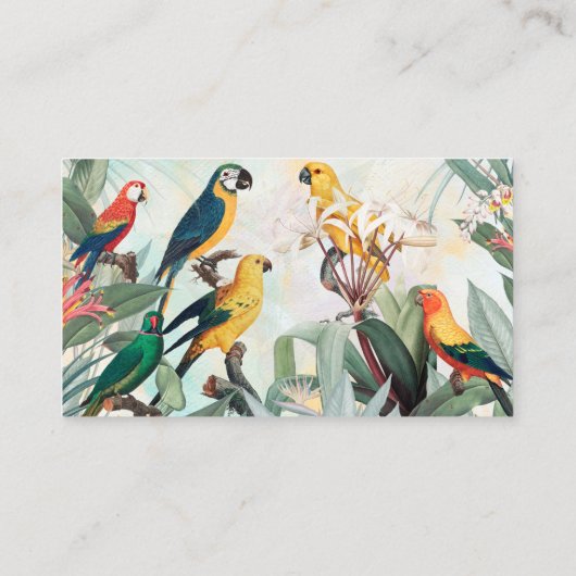 Exotische vogels visitekaartje (Achterkant)
