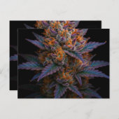 exotische wiet briefkaart (Voorkant / Achterkant)