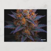 exotische wiet briefkaart (Achterkant)