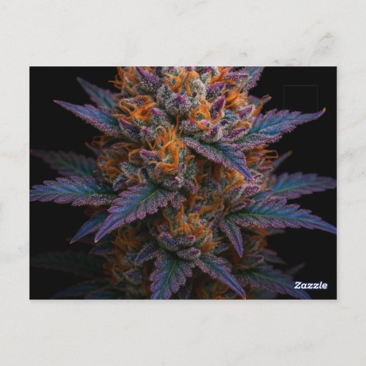 exotische wiet briefkaart (Achterkant)