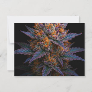 exotische wiet briefkaart