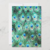 Exotische Wild Peacock Feathers Verjaardagsfeestje Kaart (Achterkant)