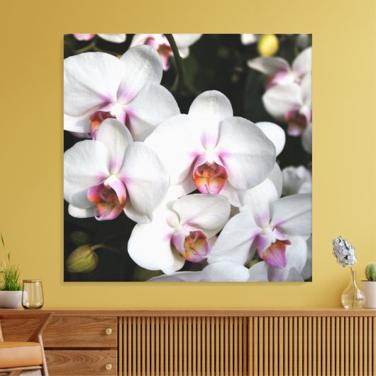 Exotische witte orchidebloem. Florale fotografie Canvas Afdruk (Insitu (Woonkamer))
