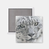 Exotische witte sneeuw Leopard foto Magneet (Voorkant / Achterkant)