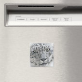 Exotische witte sneeuw Leopard foto Magneet (Insitu (Vaatwasser))