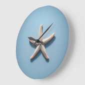 Exotische zeester met blauwe achtergrond grote klok (Hoek)