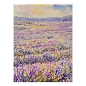 Expansive Lavender Field  Foto Afdruk (Voorkant)