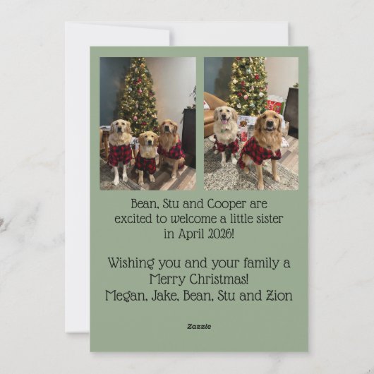 Expecting More Joy Christmas Card Feestdagenkaart (Achterkant)