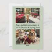 Expecting More Joy Holiday Card Feestdagenkaart (Achterkant)