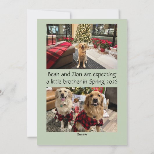 Expecting More Joy Holiday Card Feestdagenkaart (Achterkant)