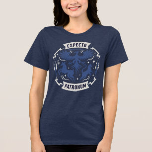 Expecto Patronum Vintage Silhouet Grafisch Tri-Blend Shirt