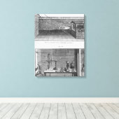 Experiment van Louis Galvani op kikkers Canvas Afdruk (Insitu (Houten vloer))